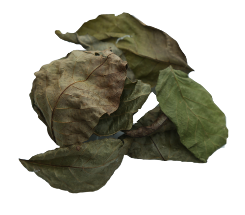 Walnut Leaves - 10g
