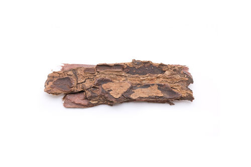 Catappa bark natural - 10g