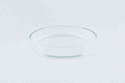 Shrimp Feed Tray glass  Ø 50mm