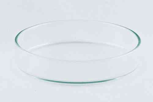 Shrimp Feed Tray glass  Ø 75mm