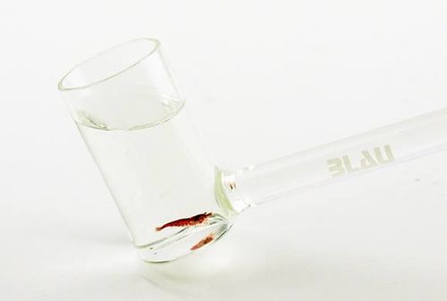 BLAU Glass Shrimp Catcher