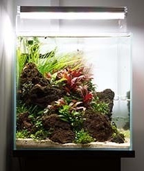 Scape to go -  27 Liter
