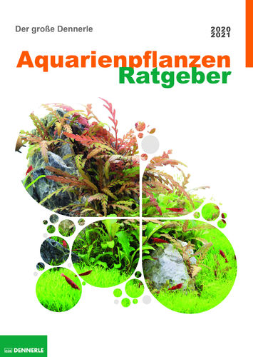 Dennerle Aquarienpflanzen - Ratgeber 2020/21