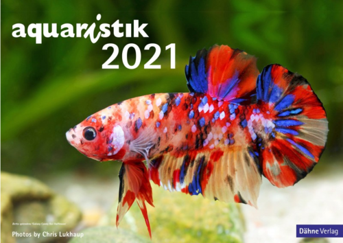 Aquaristik Calendar 2021