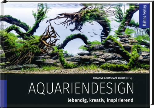 Aquariendesign