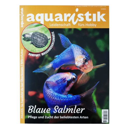 Aquaristik - Heft 5/2021