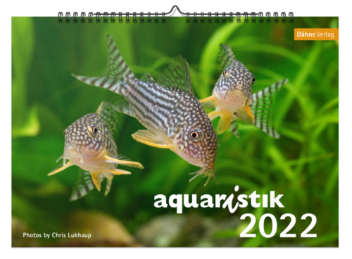 Aquaristik Calendar 2022