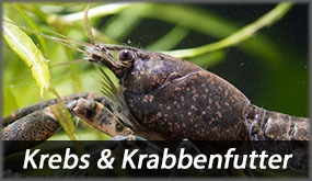 Krebs & Krabbenfutter